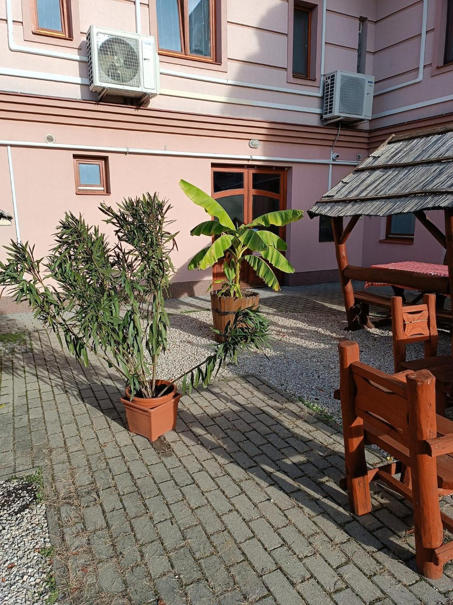 Malom Panzio Bed & Breakfast Kiskunfelegyhaza Exterior photo